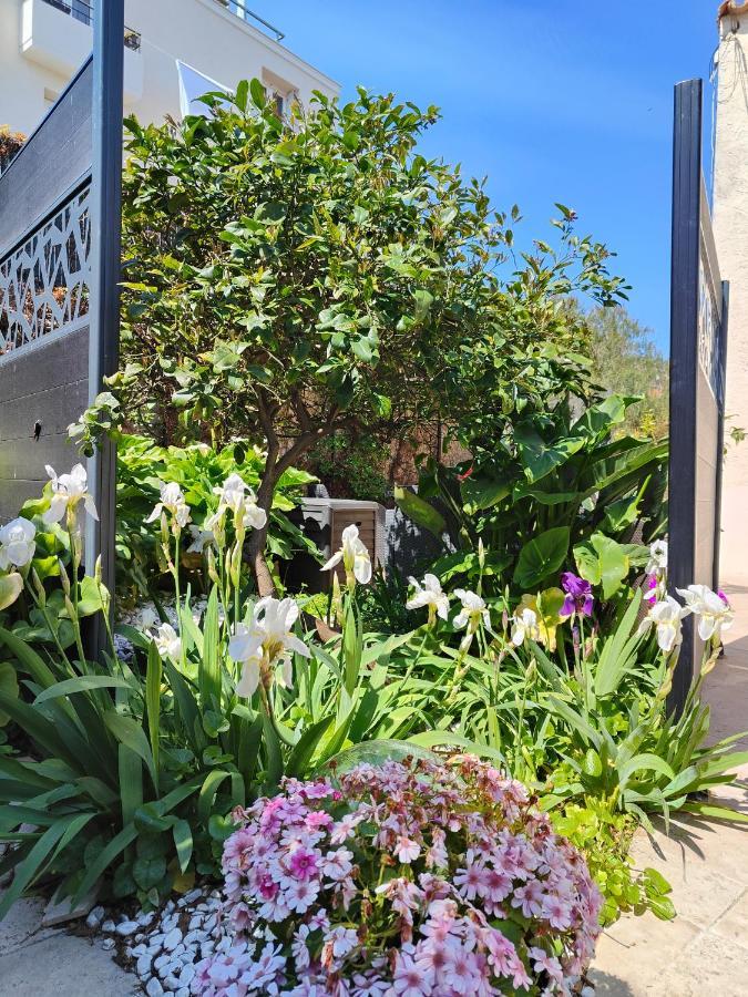Petite Etoile de Mer: Beachfront Studio with Terrace Saint-Mandrier-sur-Mer Exterior photo